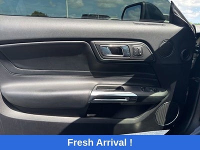 2019 Ford Mustang Bullitt