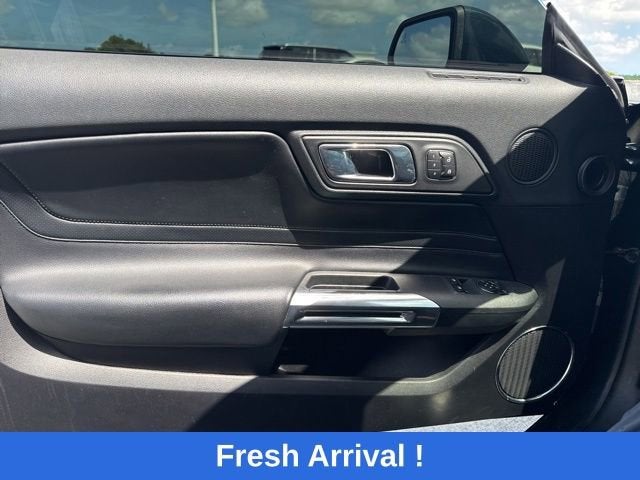 2019 Ford Mustang Bullitt
