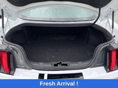 2023 Ford Mustang EcoBoost