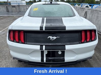 2023 Ford Mustang EcoBoost