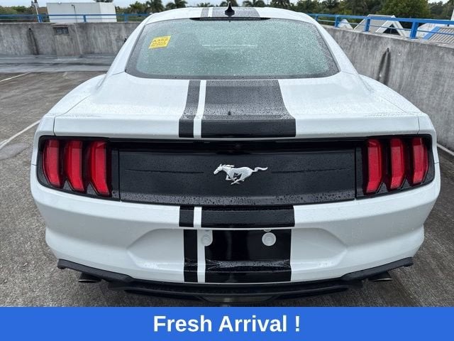 2023 Ford Mustang EcoBoost