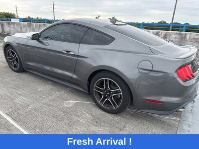 2021 Ford Mustang EcoBoost