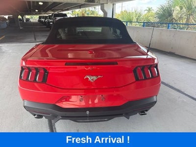 2024 Ford Mustang EcoBoost