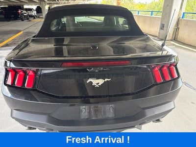 2024 Ford Mustang EcoBoost
