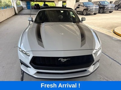 2024 Ford Mustang EcoBoost