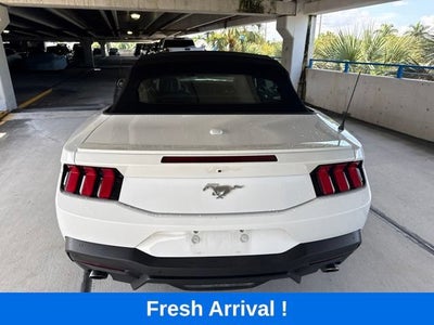 2024 Ford Mustang EcoBoost