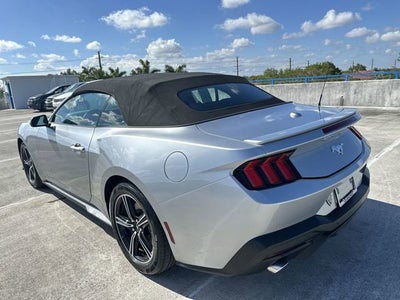 2025 Ford Mustang EcoBoost