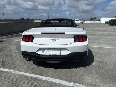 2025 Ford Mustang EcoBoost