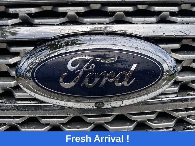 2020 Ford Expedition Platinum