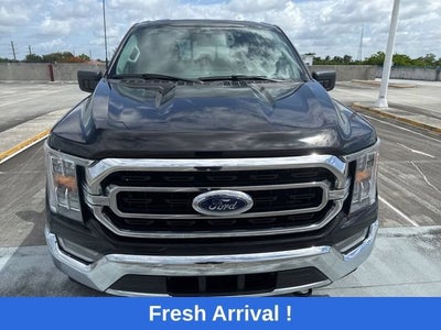 2023 Ford F-150 XL