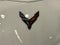 2025 Chevrolet Corvette E-Ray 1LZ