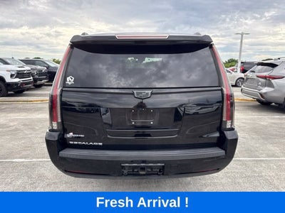 2019 Cadillac Escalade ESV Luxury