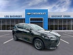 2024 Lexus NX NX 250