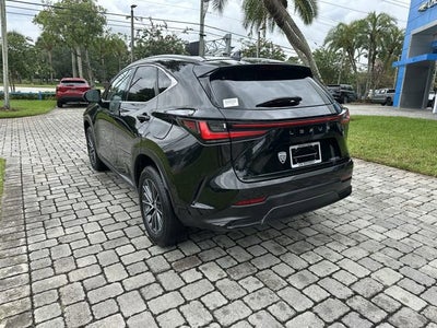 2024 Lexus NX NX 250