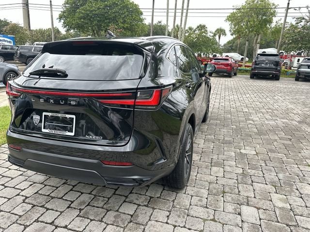 2024 Lexus NX NX 250