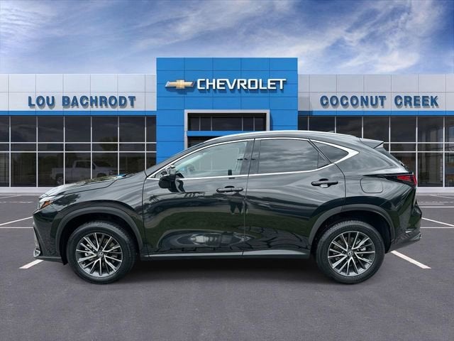 2024 Lexus NX NX 250