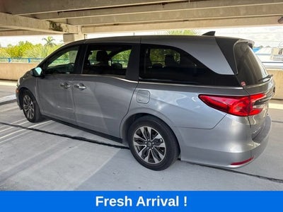 2024 Honda Odyssey EX-L