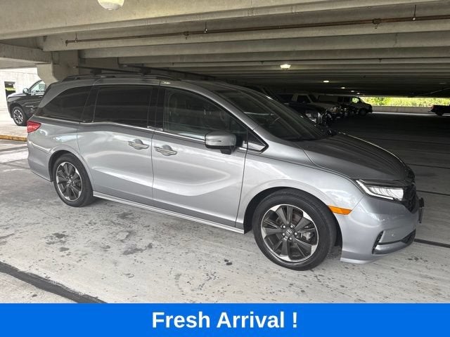 2024 Honda Odyssey Elite