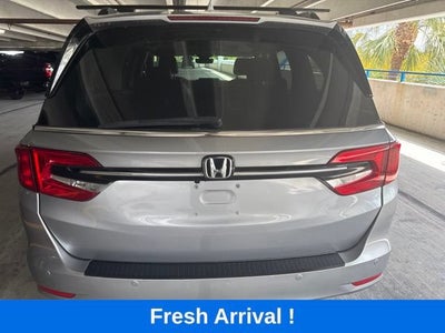 2024 Honda Odyssey Elite