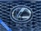 2021 Lexus NX NX 300 F SPORT