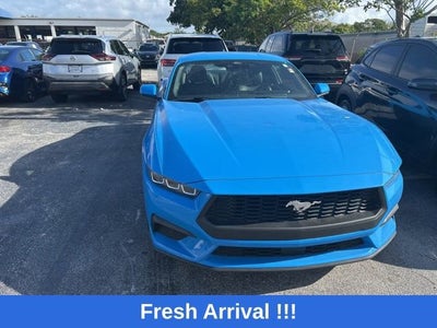2024 Ford Mustang EcoBoost