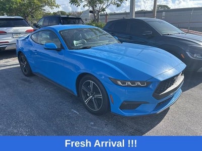 2024 Ford Mustang EcoBoost