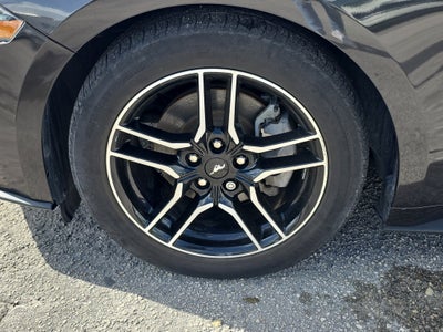 2023 Ford Mustang EcoBoost