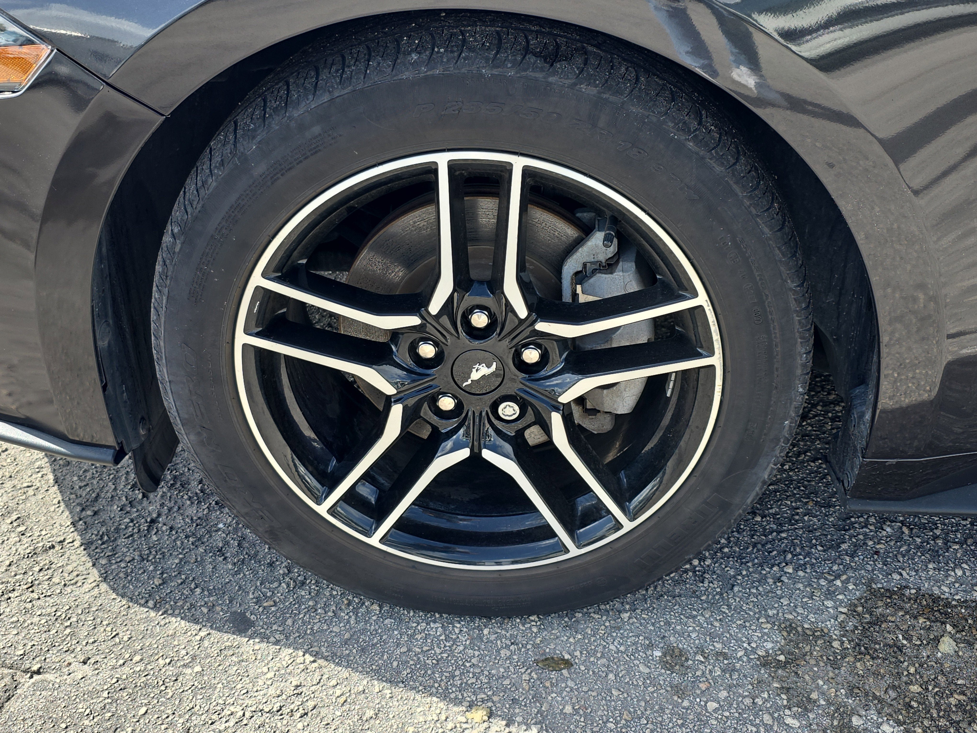 2023 Ford Mustang EcoBoost