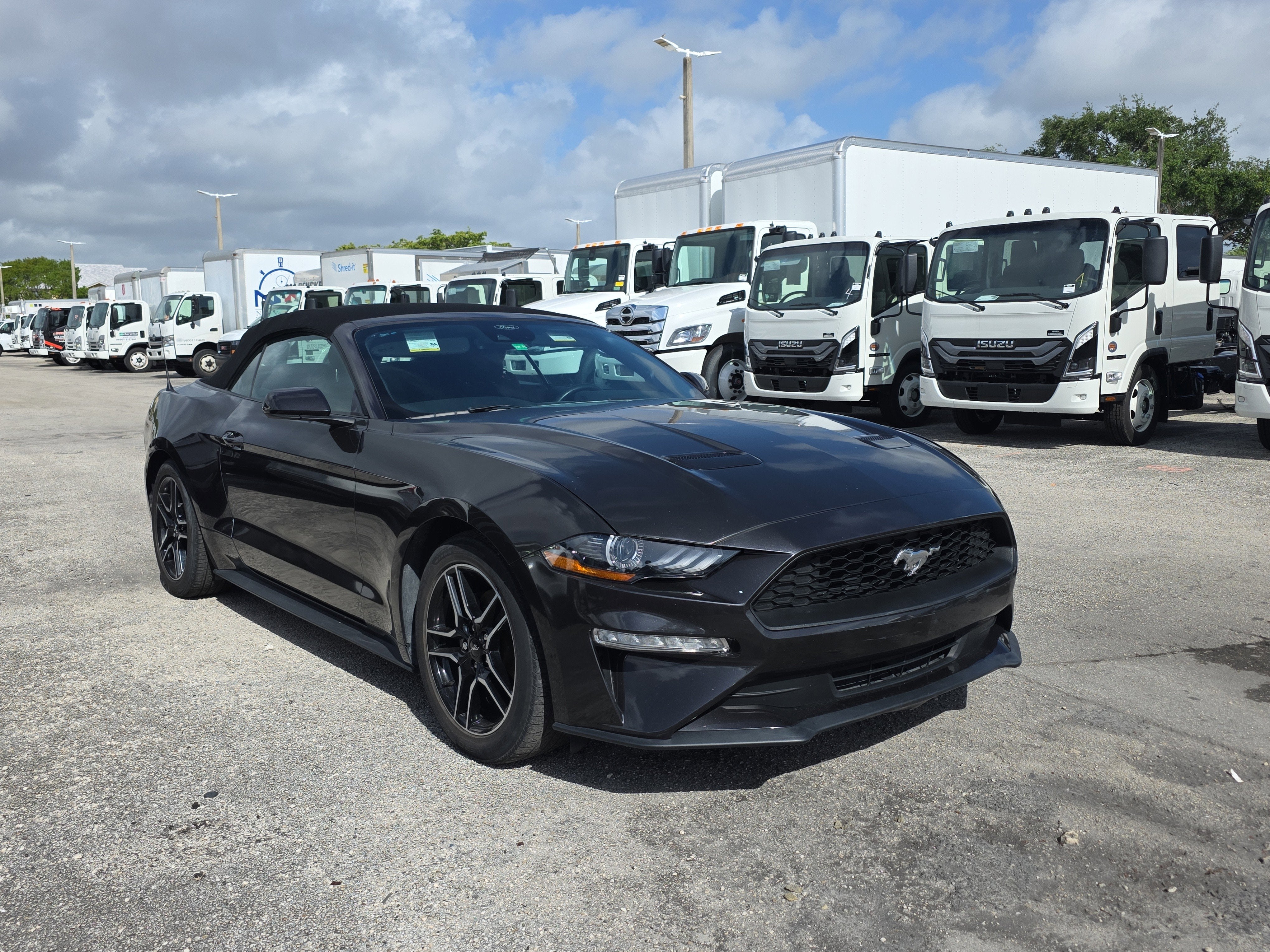 2023 Ford Mustang EcoBoost