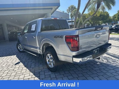 2024 Ford F-150 XLT