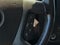 2023 Chevrolet Express Passenger 3500 1LS