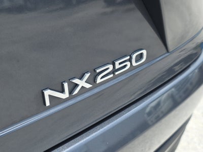 2025 Lexus NX NX 250 Premium