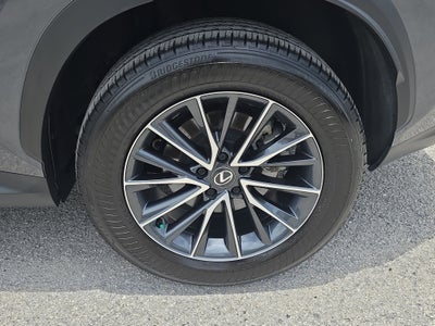 2025 Lexus NX NX 250 Premium