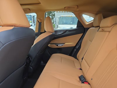 2025 Lexus NX NX 250 Premium