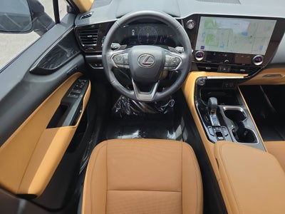 2025 Lexus NX NX 250 Premium