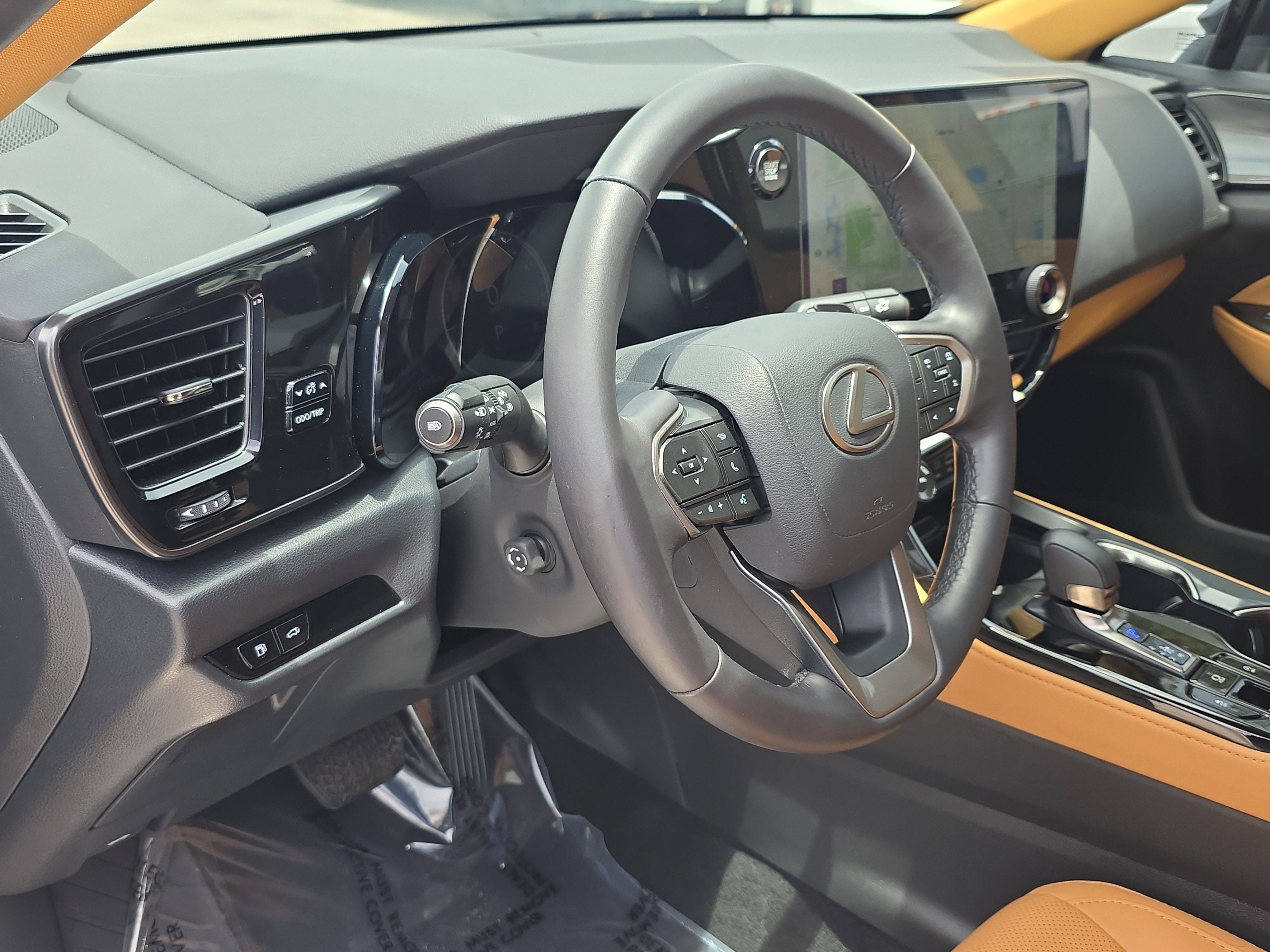 2025 Lexus NX NX 250 Premium