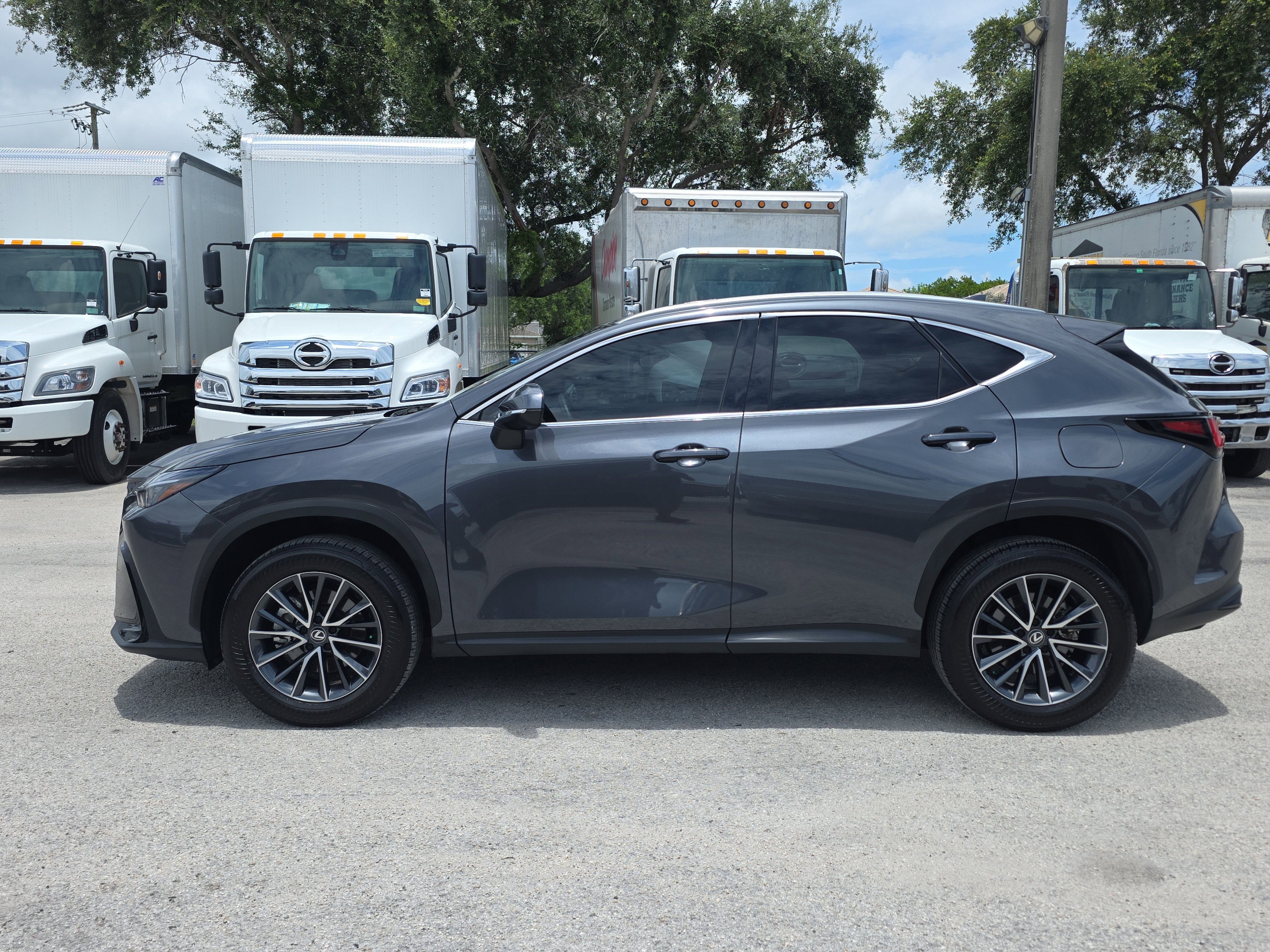 2025 Lexus NX NX 250 Premium