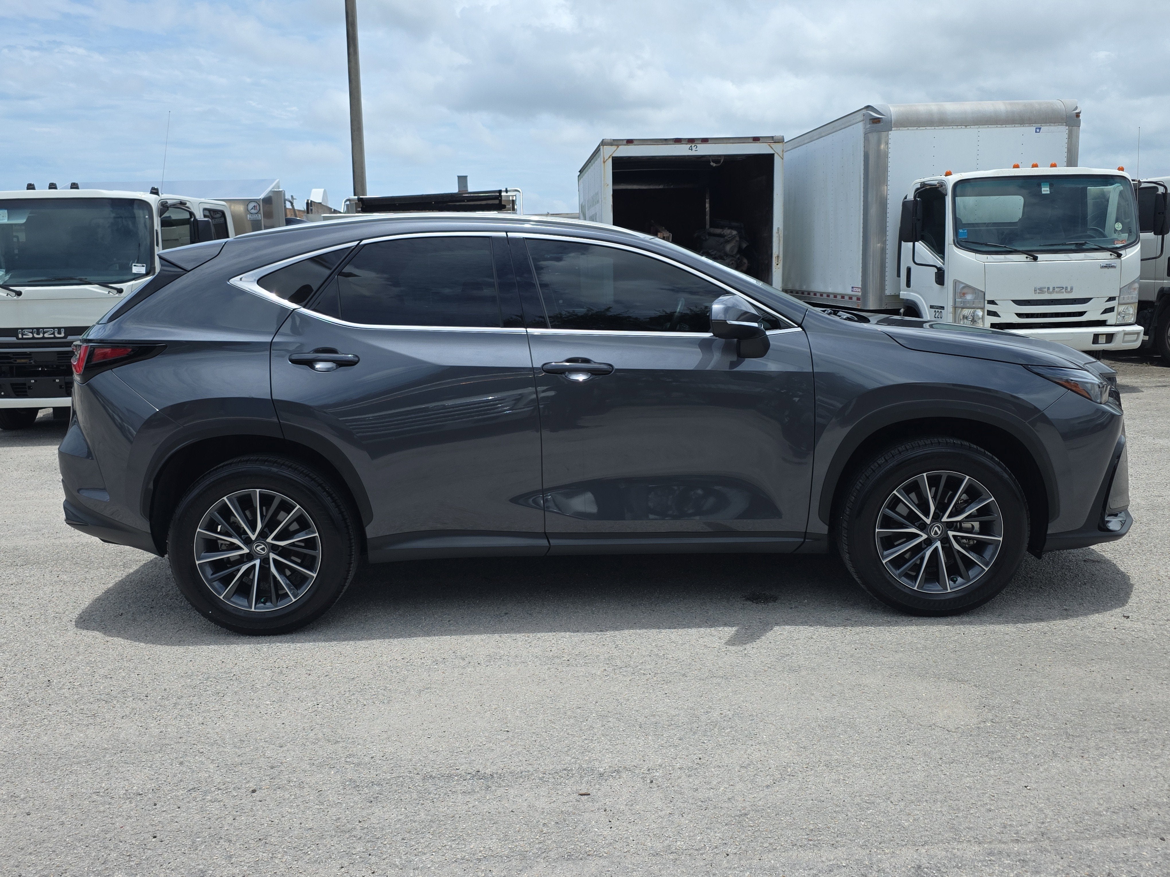 2025 Lexus NX NX 250 Premium