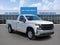 2019 Chevrolet Silverado 1500 Work Truck