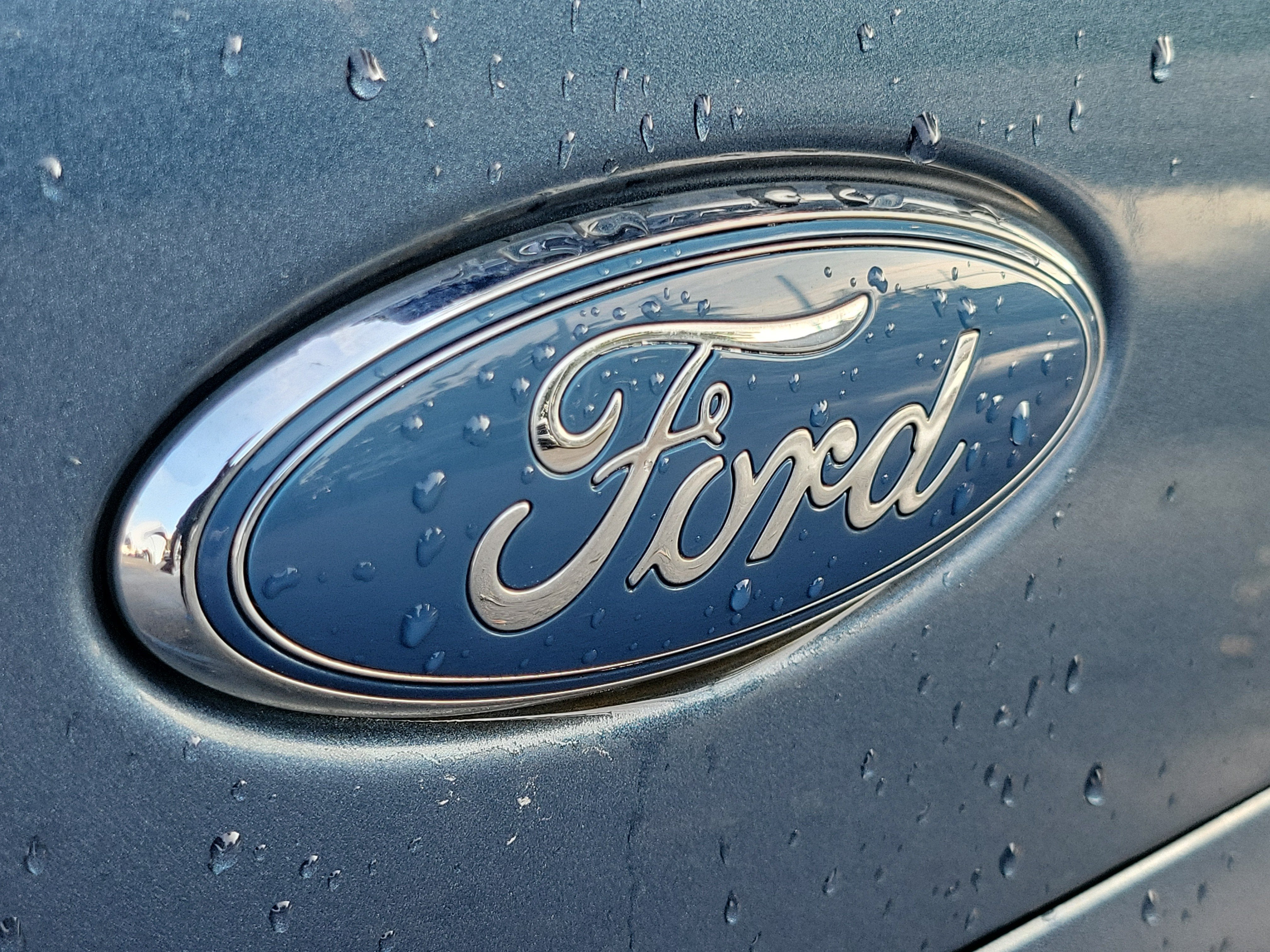 2020 Ford Transit Connect Wagon XLT